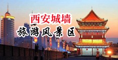 草比视频在线观看中国陕西-西安城墙旅游风景区